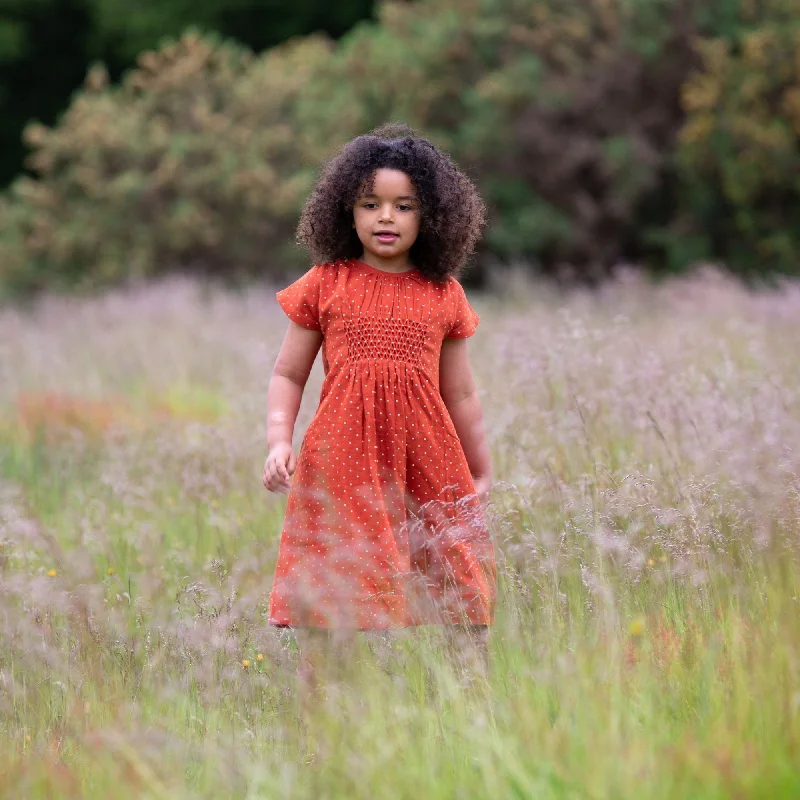 Huge Discounts Walnut Polkadot Smocked Dress