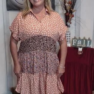 Bargain Bin Sabrina Mixed Print Collar Split Neck Short Sleeve Tiered Dress