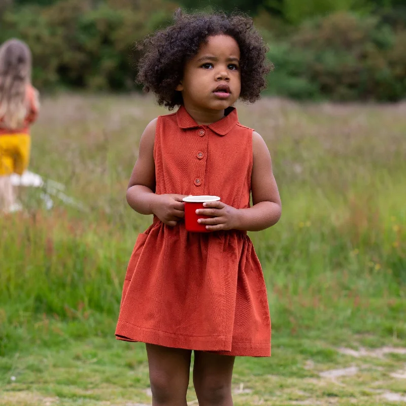 Online Only Walnut Pinafore Button Dress