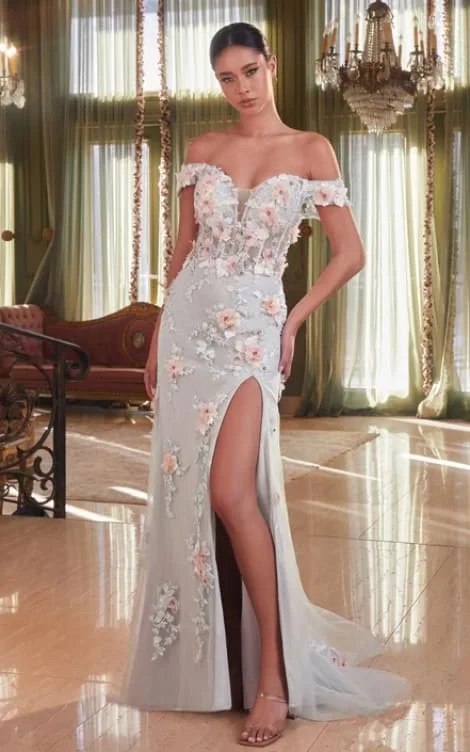 Deal of the Week Ladivine- Off The Shoulder Floral Applique Gown